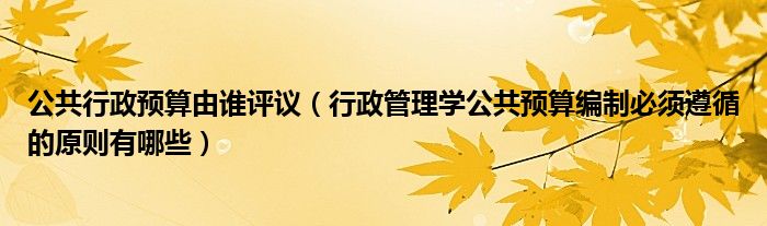 公共行政预算由谁评议（行政管理学公共预算编制必须遵循的原则有哪些）