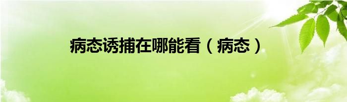 病态诱捕在哪能看（病态）