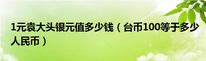 1元袁大头银元值多少钱（台币100等于多少人民币）