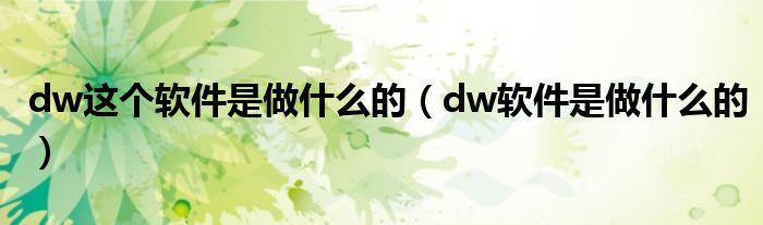 dw这个软件是做什么的（dw软件是做什么的）