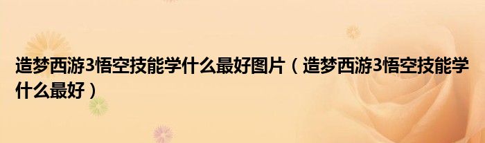 造梦西游3悟空技能学什么最好图片（造梦西游3悟空技能学什么最好）