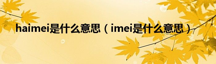 haimei是什么意思（imei是什么意思）