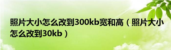 照片大小怎么改到300kb宽和高（照片大小怎么改到30kb）