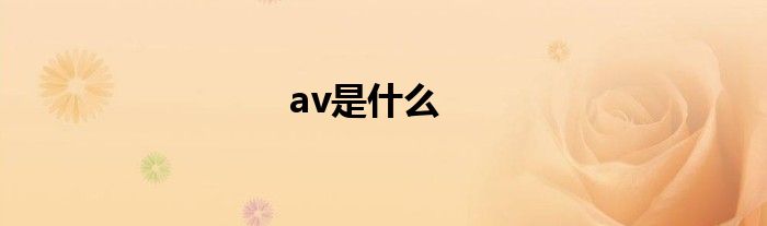 av是什么