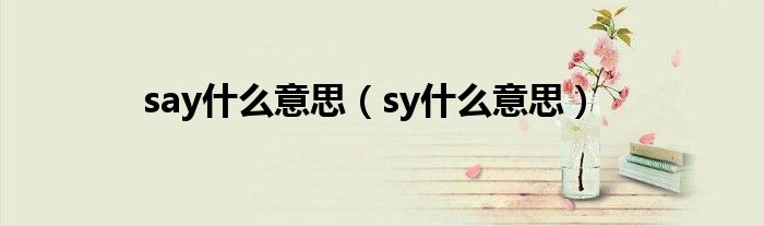 say什么意思（sy什么意思）