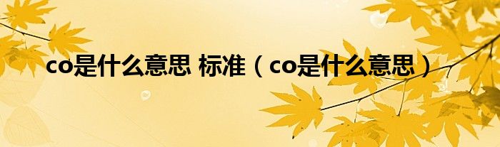 co是什么意思 标准（co是什么意思）