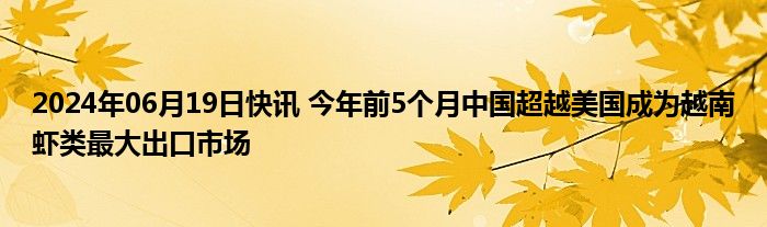 2024年06月19日快讯 今年前5个月中国超越美国成为越南虾类最大出口市场