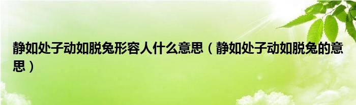 静如处子动如脱兔形容人什么意思（静如处子动如脱兔的意思）