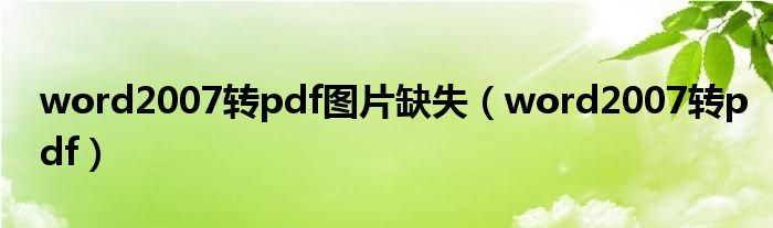 word2007转pdf图片缺失（word2007转pdf）