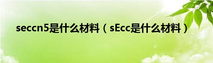 seccn5是什么材料（sEcc是什么材料）