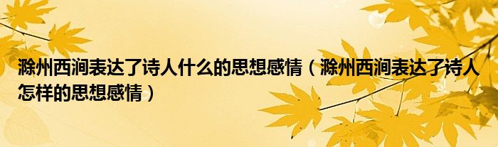 滁州西涧表达了诗人什么的思想感情（滁州西涧表达了诗人怎样的思想感情）