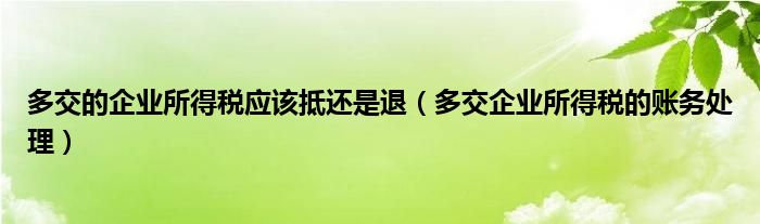 多交的企业所得税应该抵还是退（多交企业所得税的账务处理）