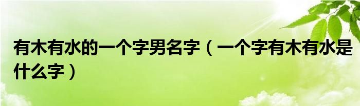 有木有水的一个字男名字（一个字有木有水是什么字）