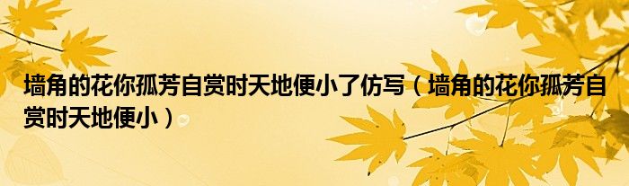 墙角的花你孤芳自赏时天地便小了仿写（墙角的花你孤芳自赏时天地便小）