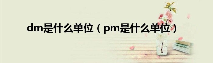 dm是什么单位（pm是什么单位）