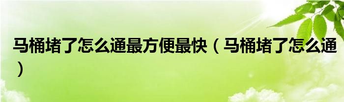 马桶堵了怎么通最方便最快（马桶堵了怎么通）