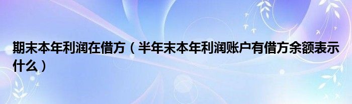 期末本年利润在借方（半年末本年利润账户有借方余额表示什么）