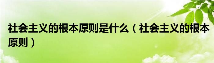 社会主义的根本原则是什么（社会主义的根本原则）