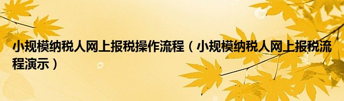 小规模纳税人网上报税操作流程（小规模纳税人网上报税流程演示）