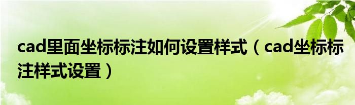 cad里面坐标标注如何设置样式（cad坐标标注样式设置）