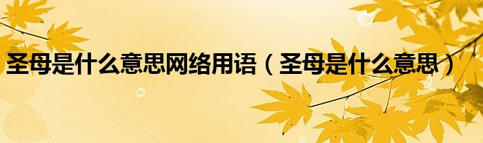 圣母是什么意思网络用语（圣母是什么意思）