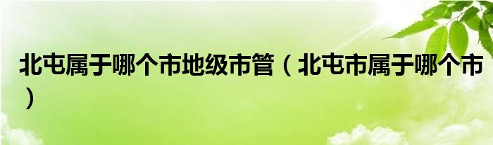 北屯属于哪个市地级市管（北屯市属于哪个市）