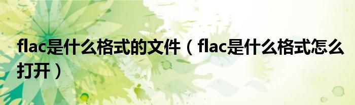 flac是什么格式的文件（flac是什么格式怎么打开）