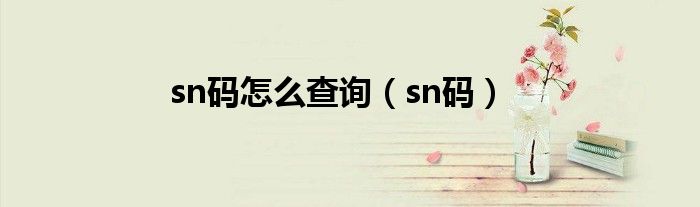 sn码怎么查询（sn码）