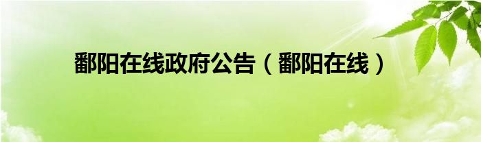 鄱阳在线政府公告（鄱阳在线）