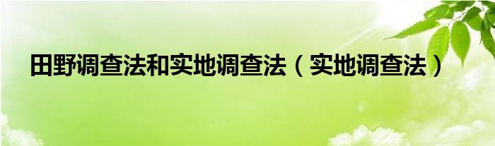 田野调查法和实地调查法（实地调查法）