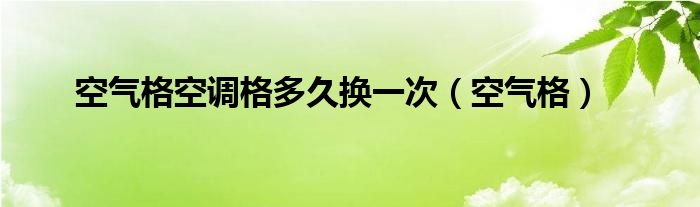 空气格空调格多久换一次（空气格）