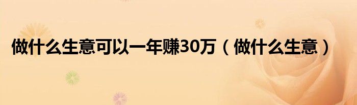 做什么生意可以一年赚30万（做什么生意）