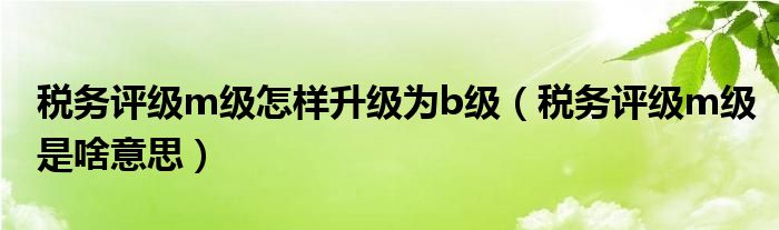 税务评级m级怎样升级为b级（税务评级m级是啥意思）