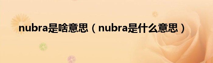 nubra是啥意思（nubra是什么意思）