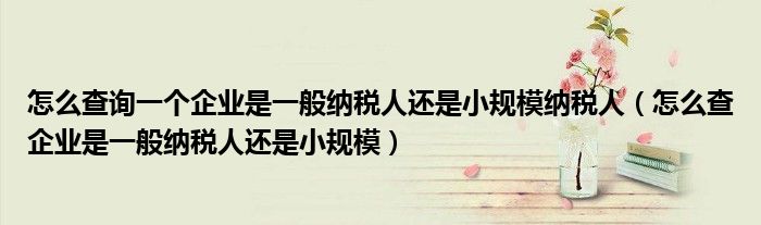 怎么查询一个企业是一般纳税人还是小规模纳税人（怎么查企业是一般纳税人还是小规模）