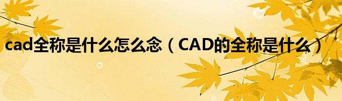 cad全称是什么怎么念（CAD的全称是什么）