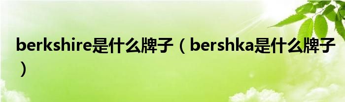 berkshire是什么牌子（bershka是什么牌子）