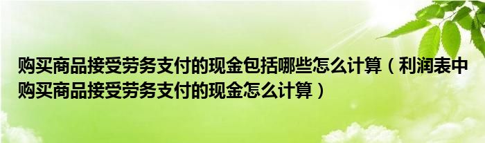 购买商品接受劳务支付的现金包括哪些怎么计算（利润表中购买商品接受劳务支付的现金怎么计算）