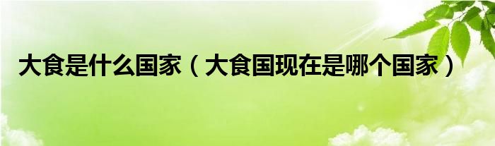 大食是什么国家（大食国现在是哪个国家）