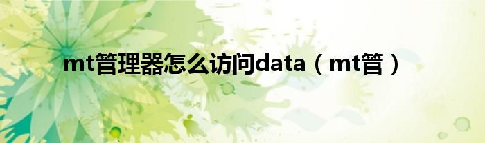 mt管理器怎么访问data（mt管）