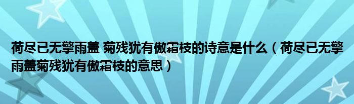 荷尽已无擎雨盖 菊残犹有傲霜枝的诗意是什么（荷尽已无擎雨盖菊残犹有傲霜枝的意思）