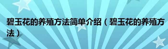 碧玉花的养殖方法简单介绍（碧玉花的养殖方法）