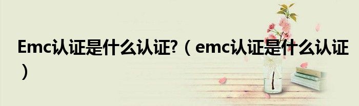 Emc认证是什么认证?（emc认证是什么认证）