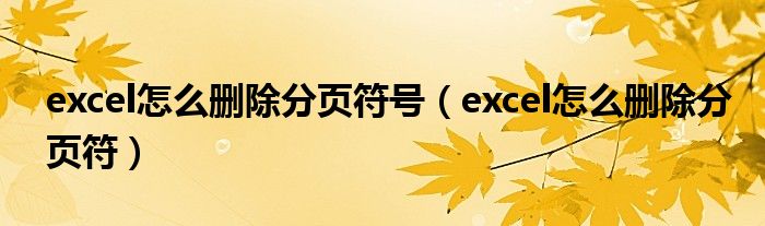 excel怎么删除分页符号（excel怎么删除分页符）