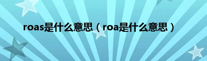 roas是什么意思（roa是什么意思）