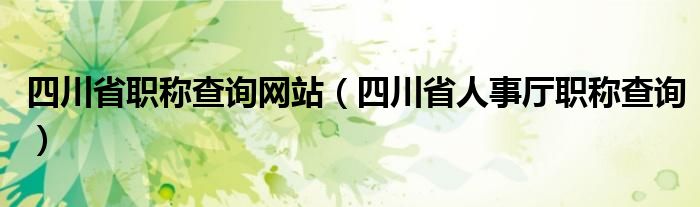 四川省职称查询网站（四川省人事厅职称查询）