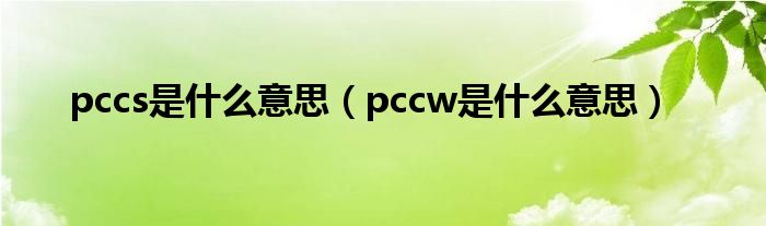 pccs是什么意思（pccw是什么意思）