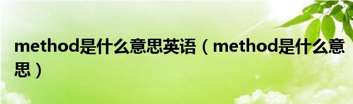 method是什么意思英语（method是什么意思）