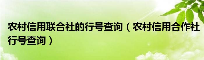 农村信用联合社的行号查询（农村信用合作社行号查询）