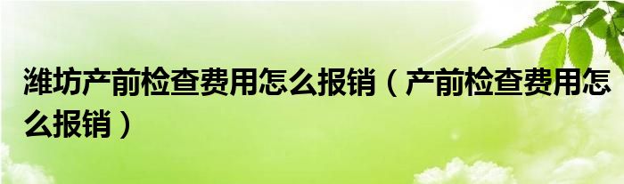 潍坊产前检查费用怎么报销（产前检查费用怎么报销）